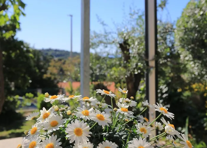 Lejlighed With Parking Space Splitska, Brac - 17023